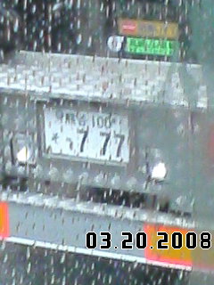 春セミ 777