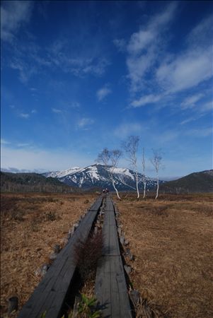 p_018.jpg