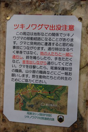 p_049.jpg
