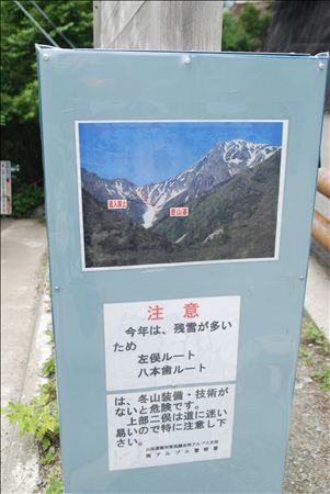 p_005.jpg
