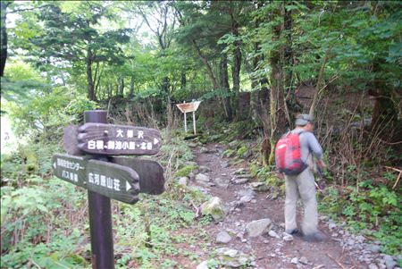 p_007.jpg