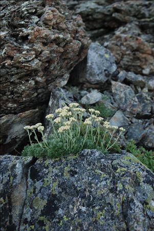 p_077.jpg