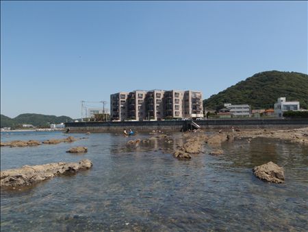 p_002.jpg