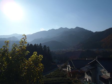 p_009.JPG