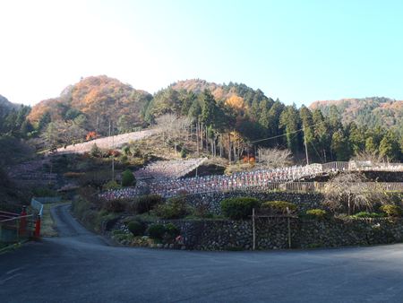 p_012.JPG