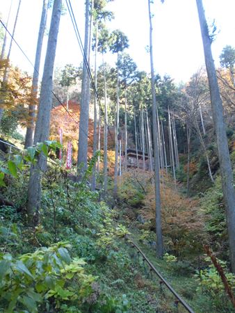 p_018.JPG