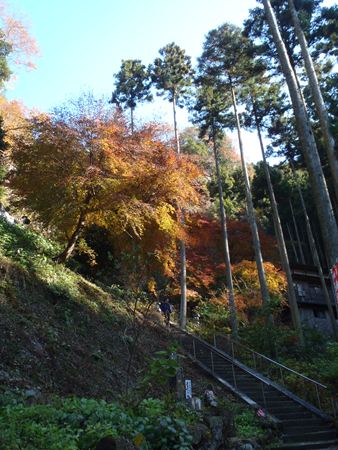 p_019.JPG