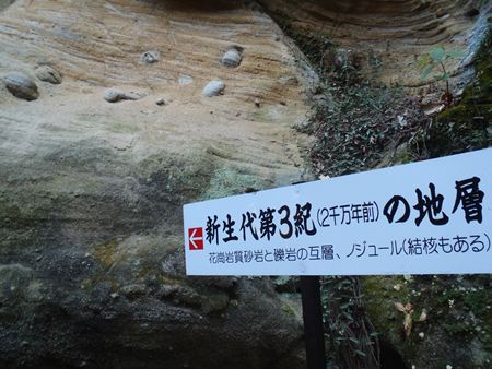 p_025.JPG