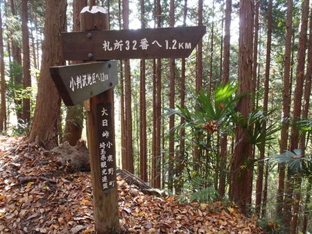 p_032.JPG