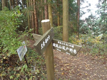 p_065.JPG