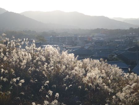 p_009.JPG