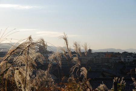 p_010.JPG