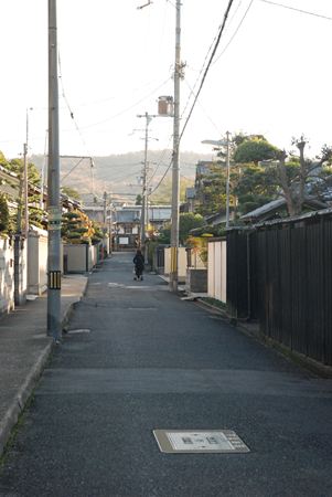 p_011.JPG