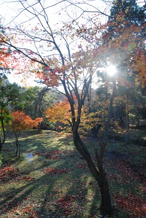 p_014.JPG