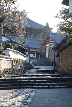 p_015.JPG