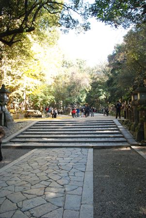 p_036.JPG