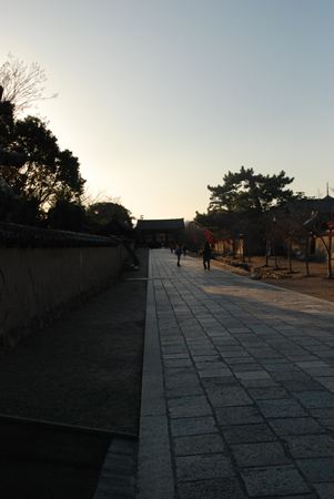 p_061.JPG