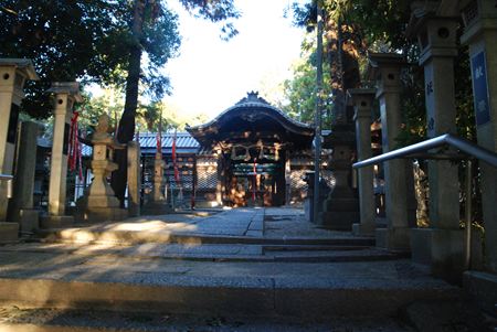 p_066.JPG