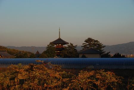 p_072.JPG