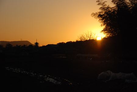 p_077.JPG