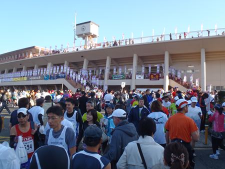 p_087.JPG