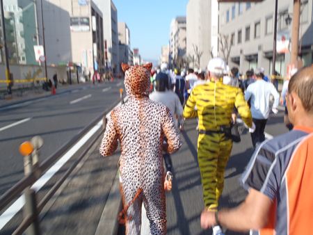 p_097.JPG