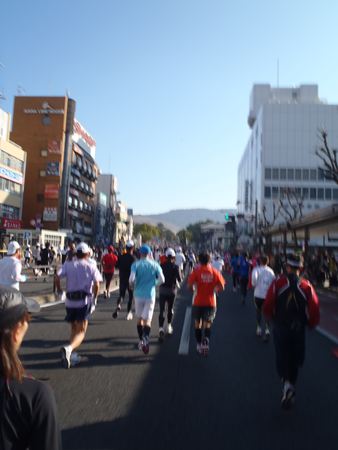 p_104.JPG