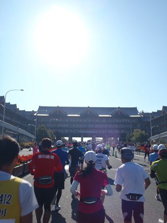 p_109.JPG