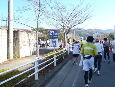p_113.JPG