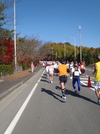p_114.JPG