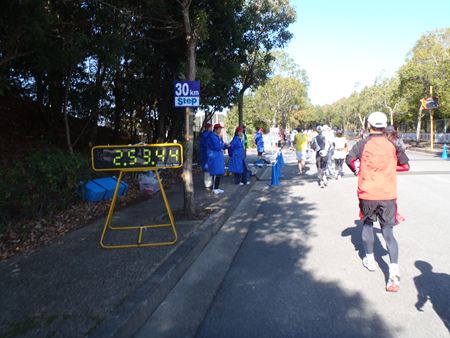 p_115.JPG