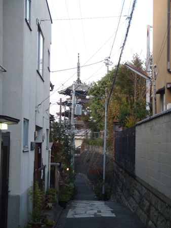 p_130.JPG