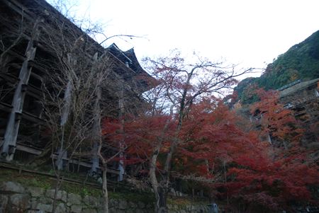 p_175.JPG