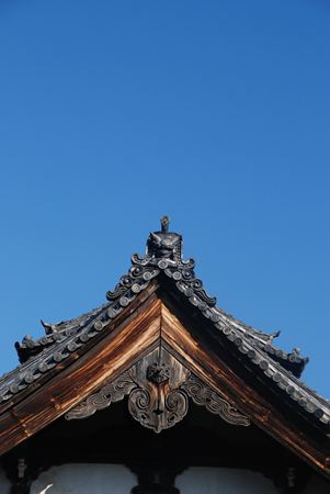 p_185.JPG