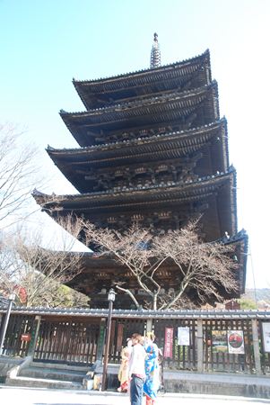 p_209.JPG