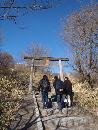 p_015.jpg