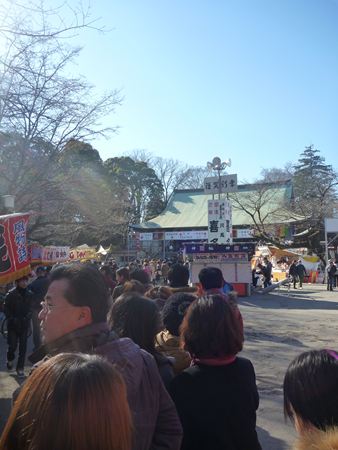 p_004.jpg