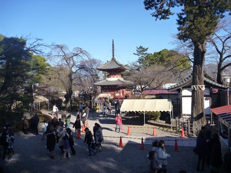p_010.jpg