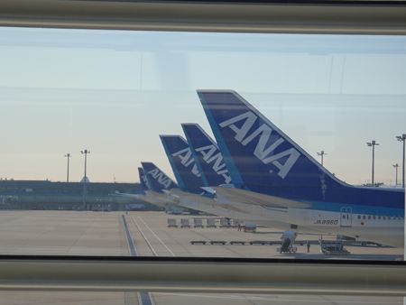 p_003.jpg