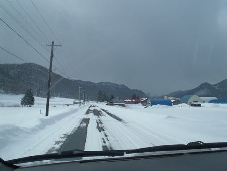 p_012.jpg