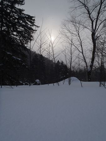 p_040.jpg