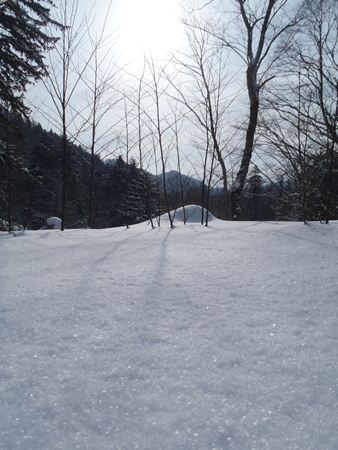 p_079.jpg