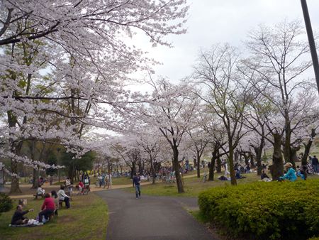 p_010.jpg