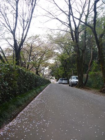 p_016.jpg