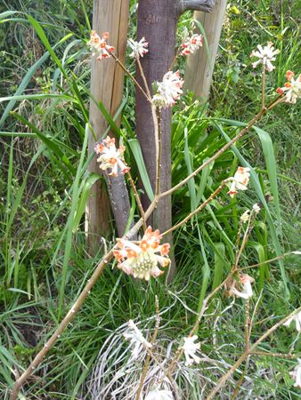 p_019.jpg