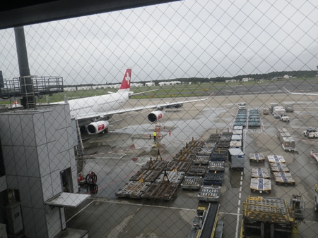 p_016.jpg