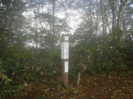 p_036.jpg