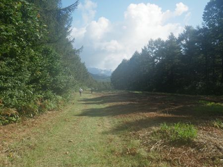 p_037.jpg