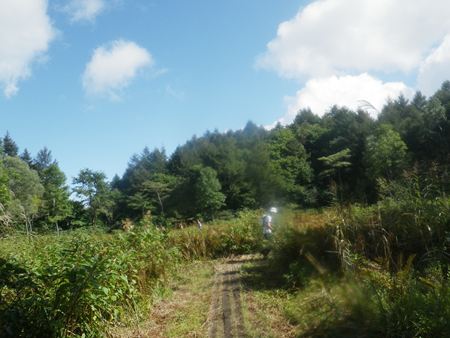 p_040.jpg