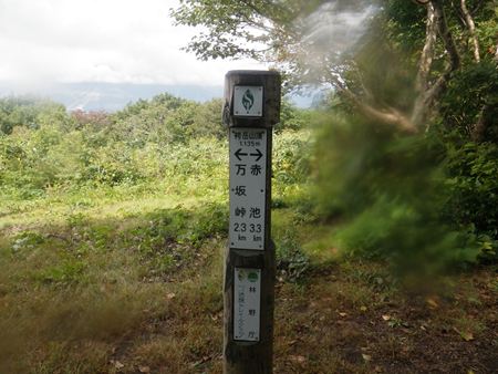 p_042.jpg